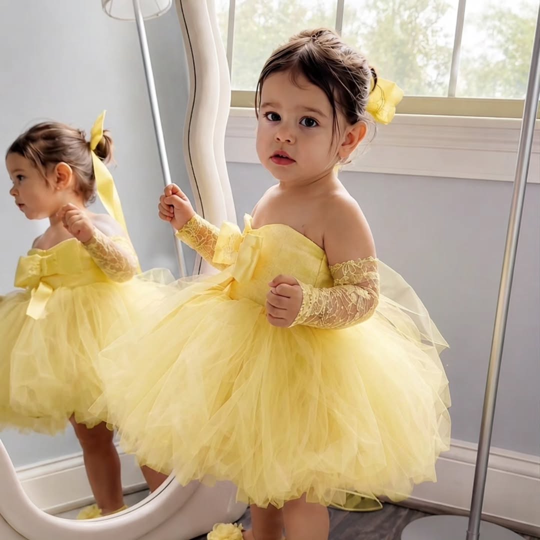 Princess Yellow Flower Girl Dr - Embroidery Yellow Dress 评论和价格